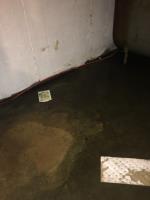 Sewer Drain | Water Damage - Flooded Brooklyn image 11